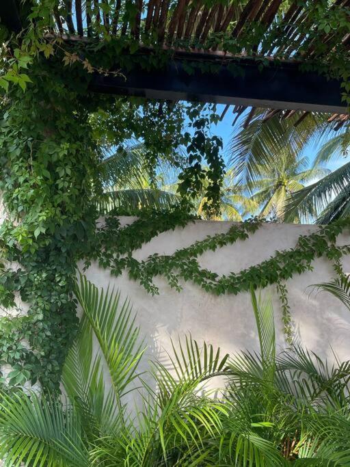 Casa Tulup Sisal Villa Exterior photo